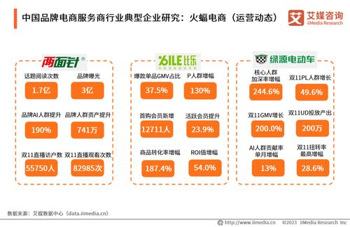 艾媒咨詢2023年中國品牌電商服務(wù)商行業(yè)研究報(bào)告解析